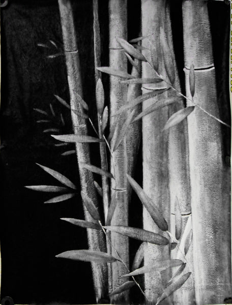 Bamboo07