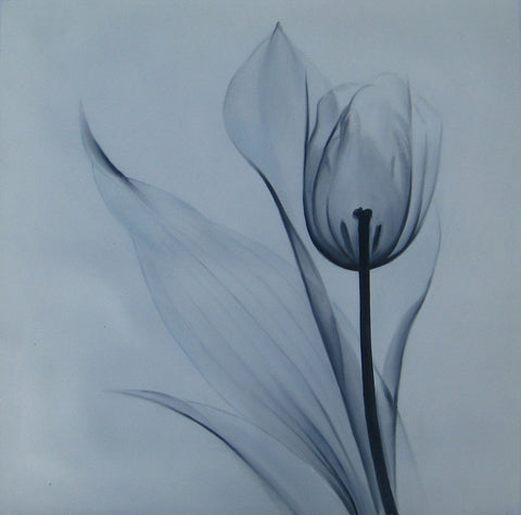 4380 Oil Painting Canvas Art