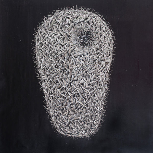 Cosmic Birth - Nest Series